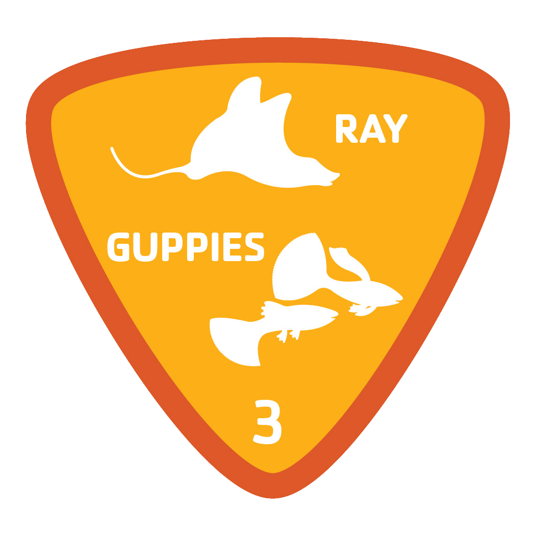aquatics-badge-3-ray-guppies