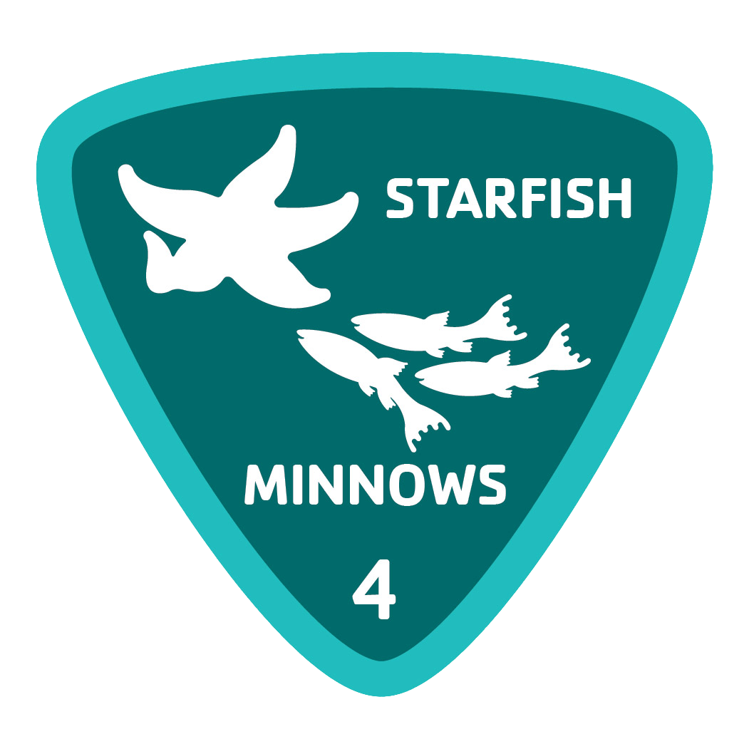 aquatics-badge-4-starfish-minnows