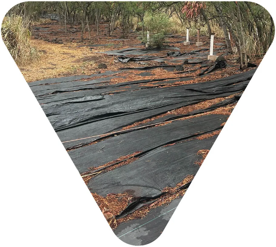 STEM Meets Stewardship at Camp Erdman